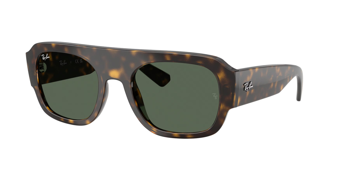 Occhiali da Sole Ray-Ban RB2218