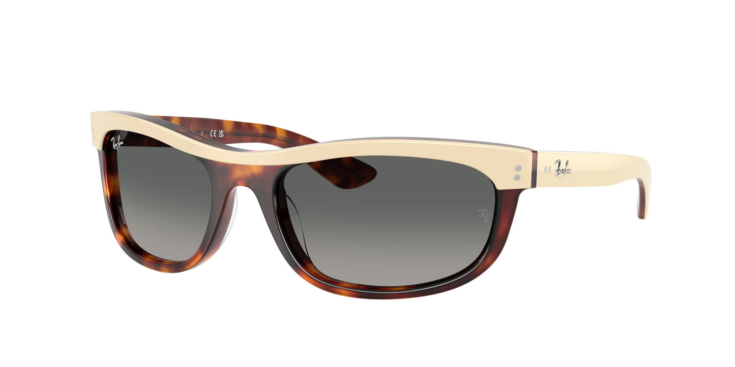 Occhiali da Sole Ray-Ban RB2489 Balorama