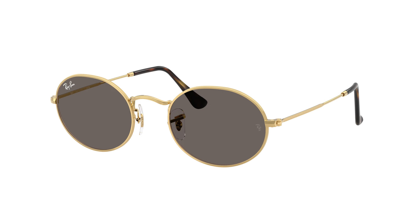 Occhiali da Sole Ray-Ban 0RB3547N | Oval