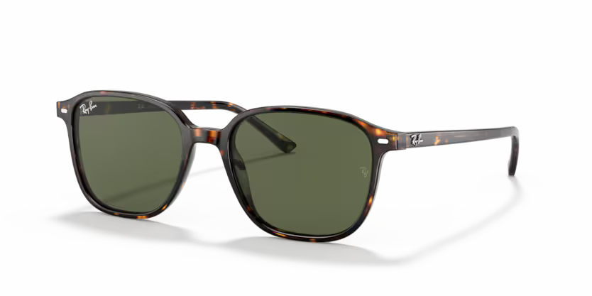 Occhiali da Sole Ray-Ban Leonard RB2193 – Stile Anni ’70 Unisex
