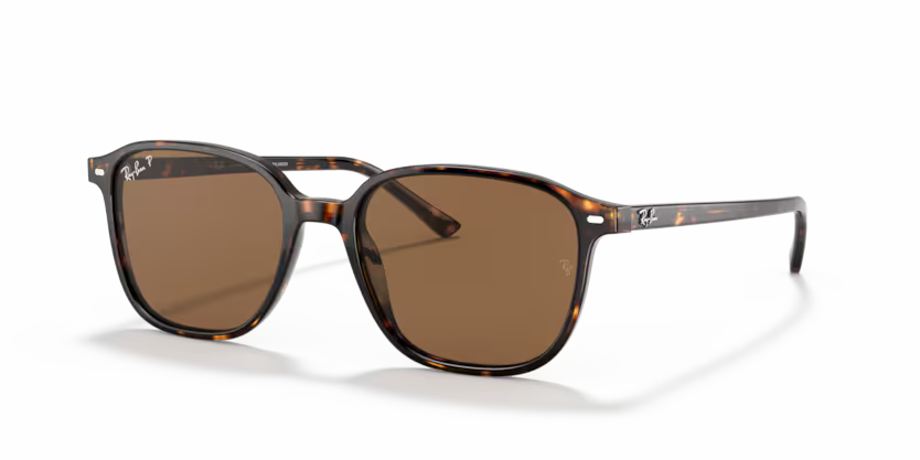 Occhiali da Sole Ray-Ban Leonard RB2193 – Stile Anni ’70 Unisex