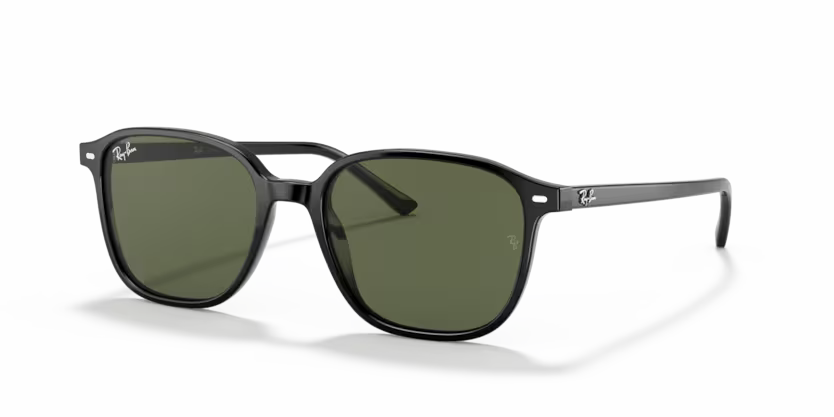 Occhiali da Sole Ray-Ban Leonard RB2193 – Stile Anni ’70 Unisex
