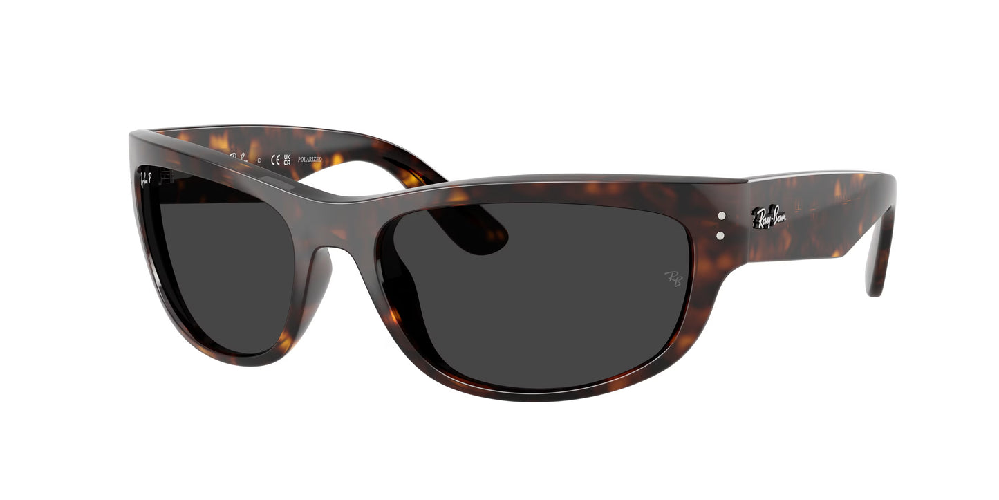 Occhiali da sole Ray-Ban Mega Balorama 2289