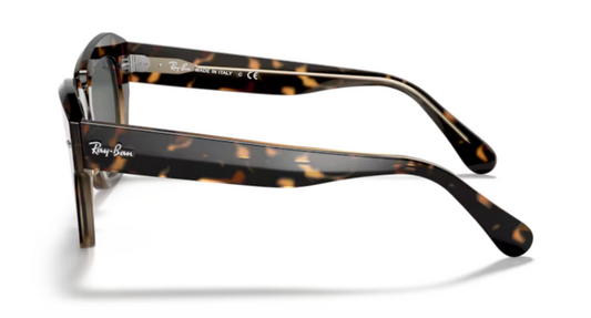Occhiali da Sole Ray-Ban RB2186 | State Street