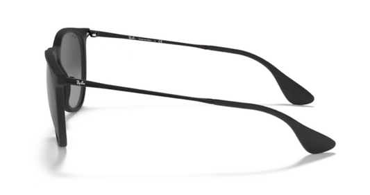 Occhiali da Sole Ray-Ban RB4171 | Erika