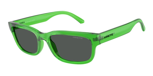 Occhiali da sole Arnette AN4363 Defyer