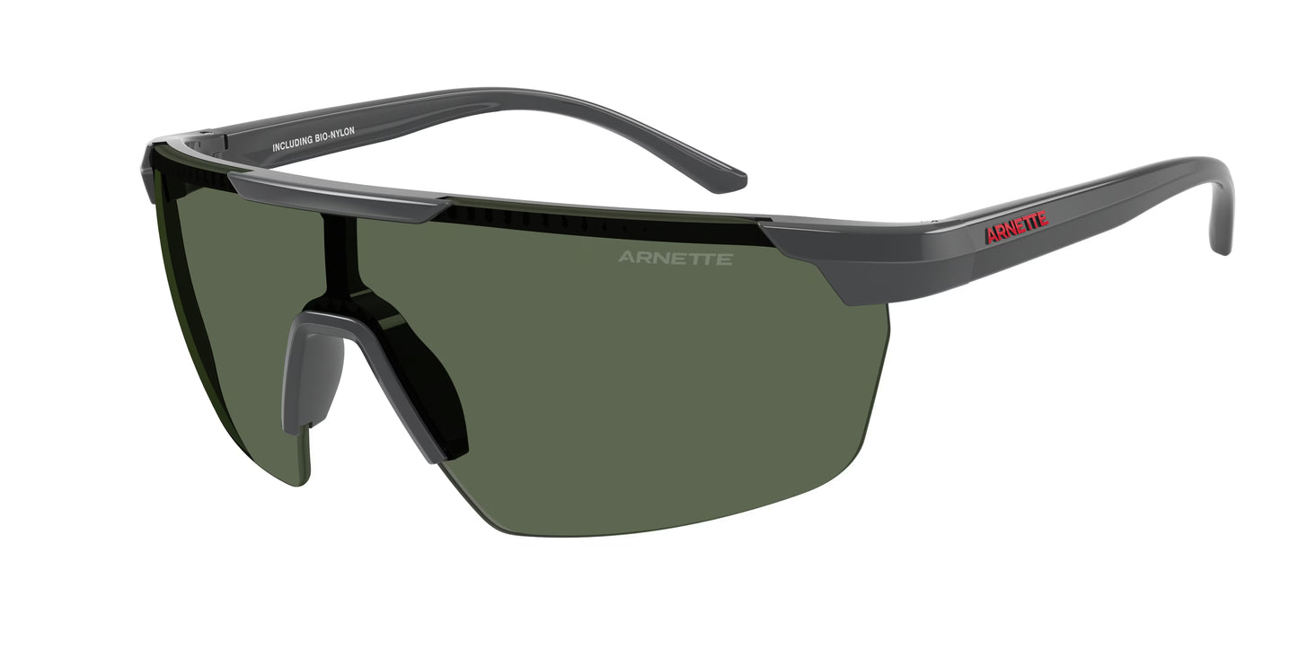 Occhiali da Sole Arnette AN4369