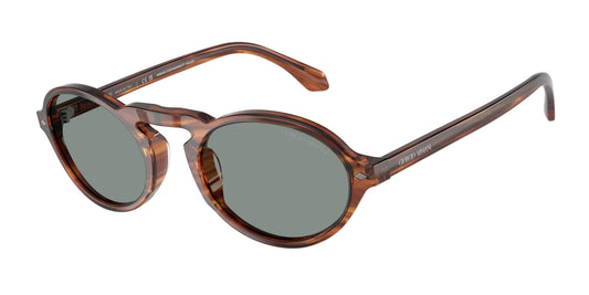 Occhiali da Sole Giorgio Armani AR8219U