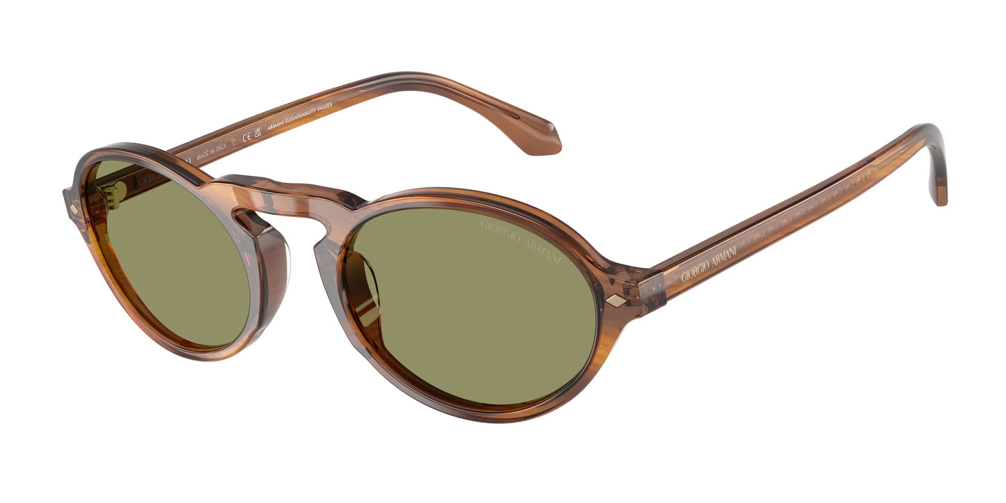 Occhiali da Sole Giorgio Armani AR8219U