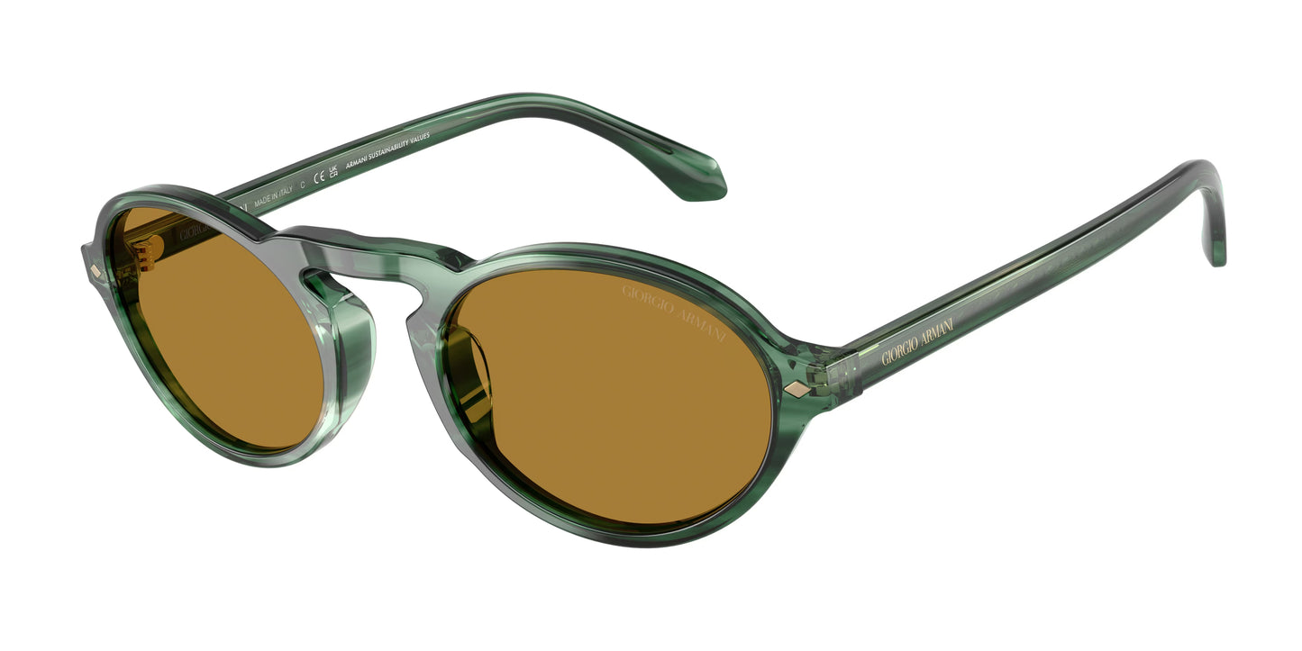 Occhiali da Sole Giorgio Armani AR8219U