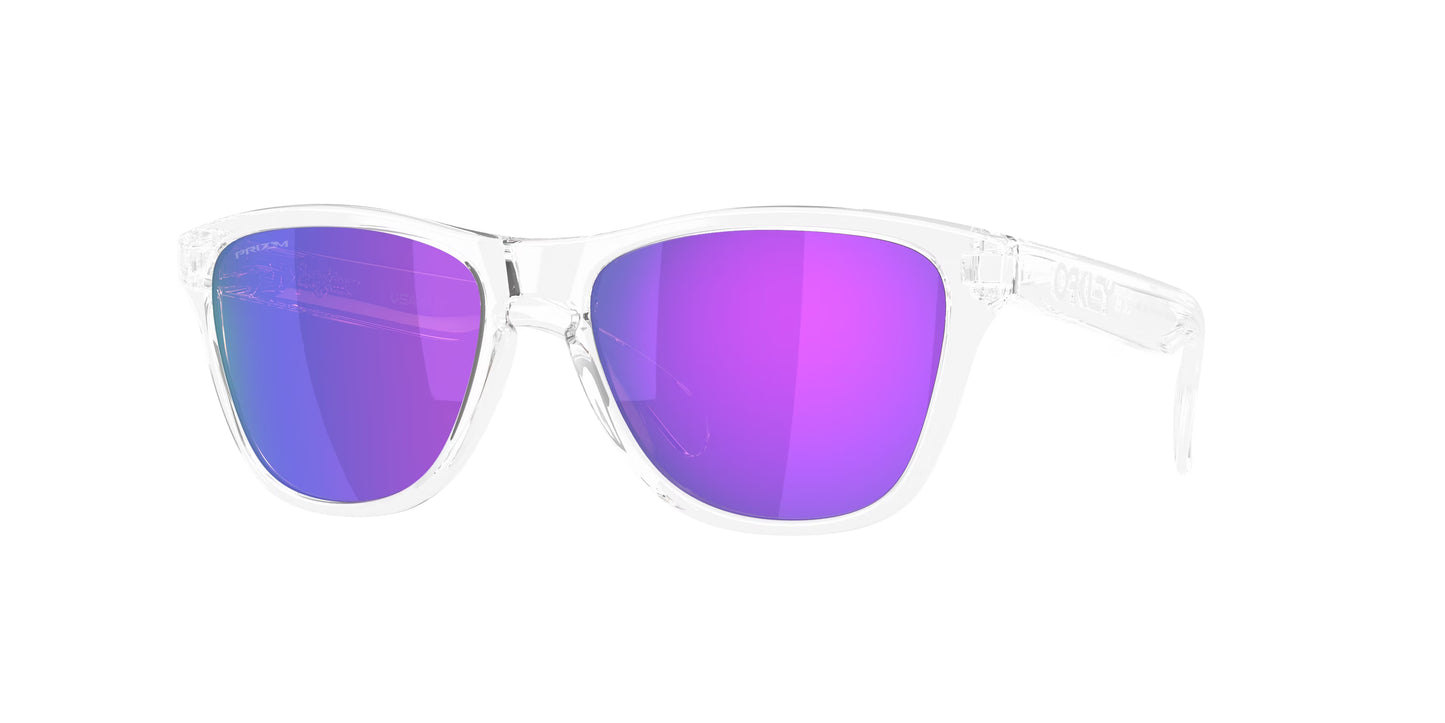 Occhiali da Sole Oakley OO9508 Frogskins S