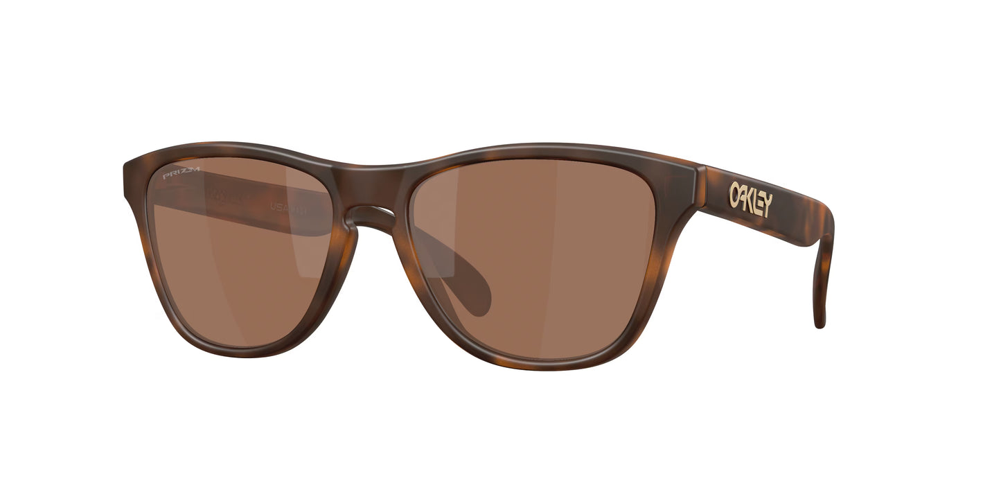 Occhiali da Sole Oakley OO9508 Frogskins S