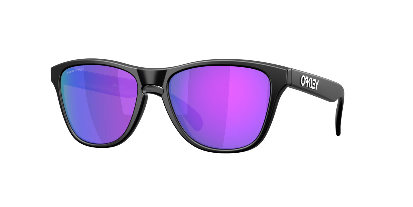 Occhiali da Sole Oakley OO9508 Frogskins S