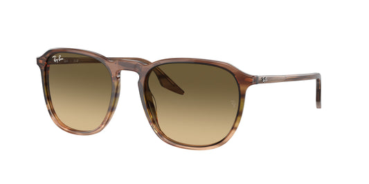 Occhiali da Sole Ray-Ban 0RB2203