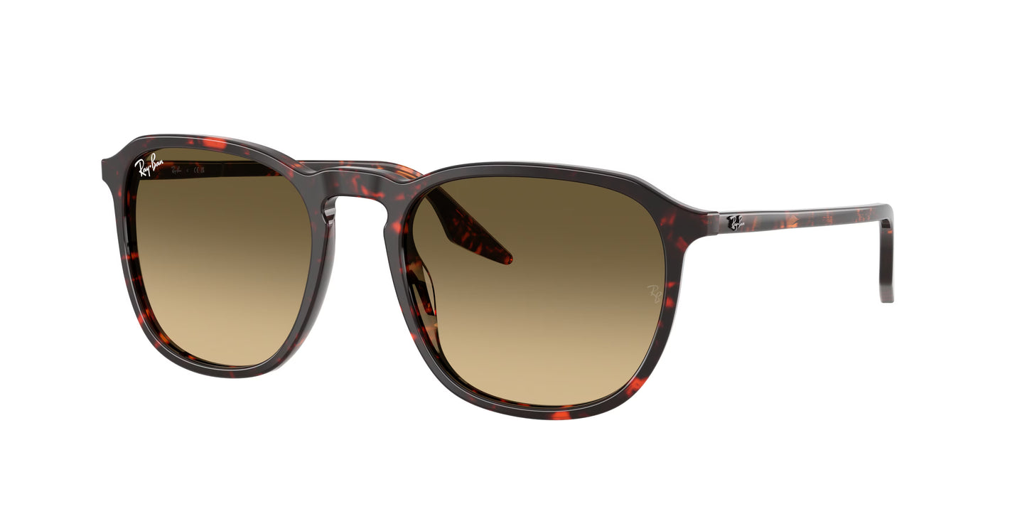 Occhiali da Sole Ray-Ban 0RB2203
