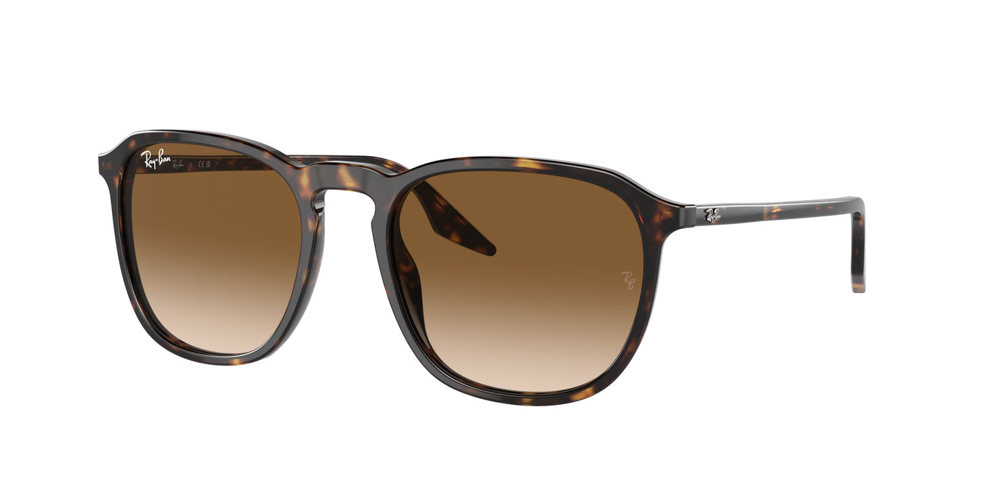 Occhiali da Sole Ray-Ban 0RB2203