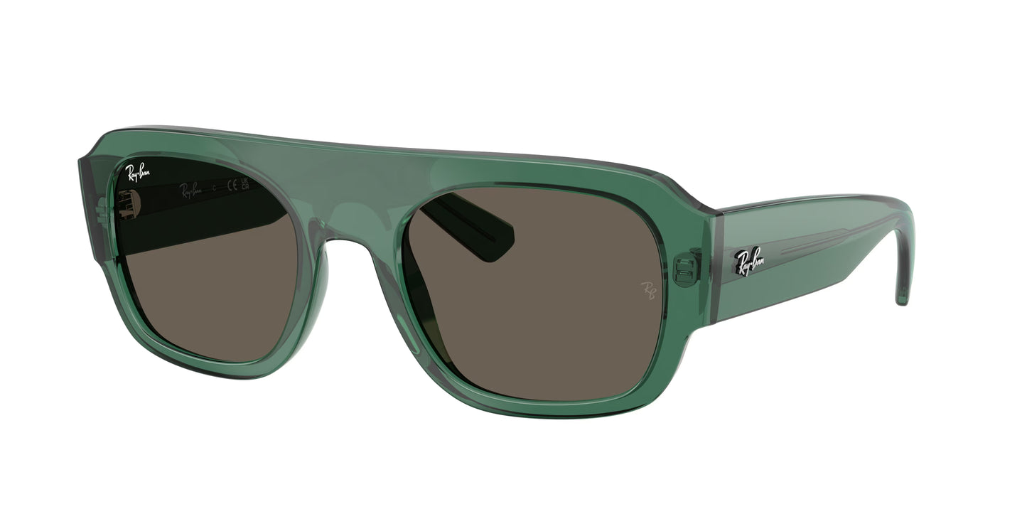 Occhiali da Sole Ray-Ban RB2218