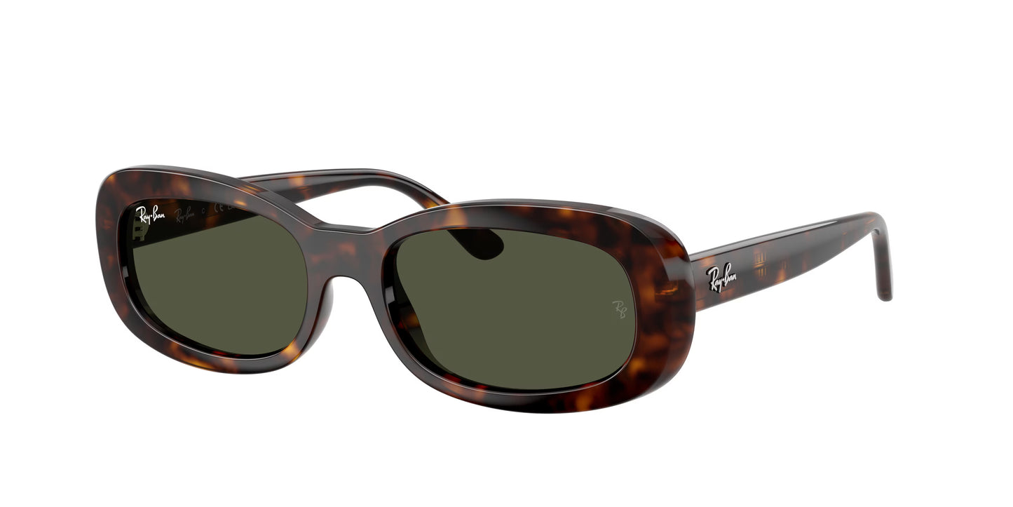 Occhiali da Sole Ray-Ban RB2221