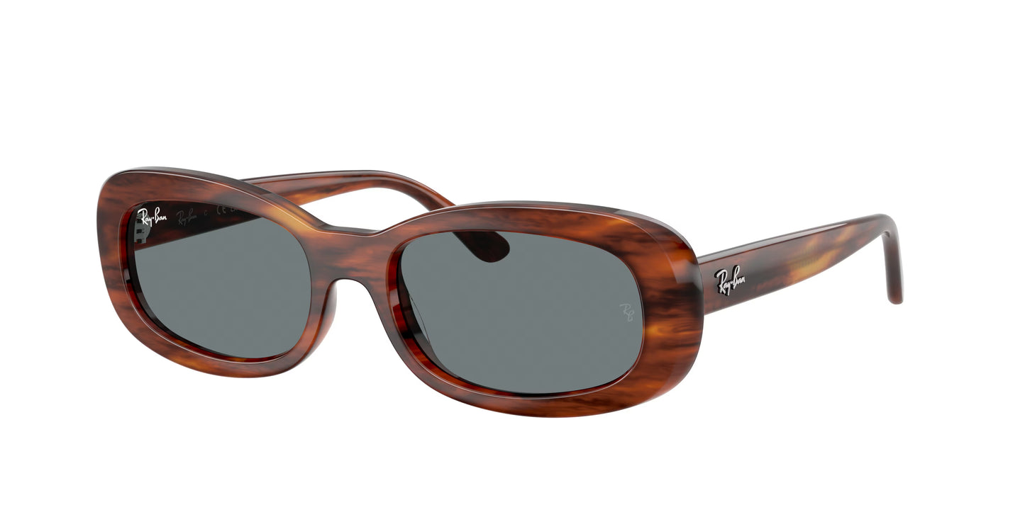 Occhiali da Sole Ray-Ban RB2221