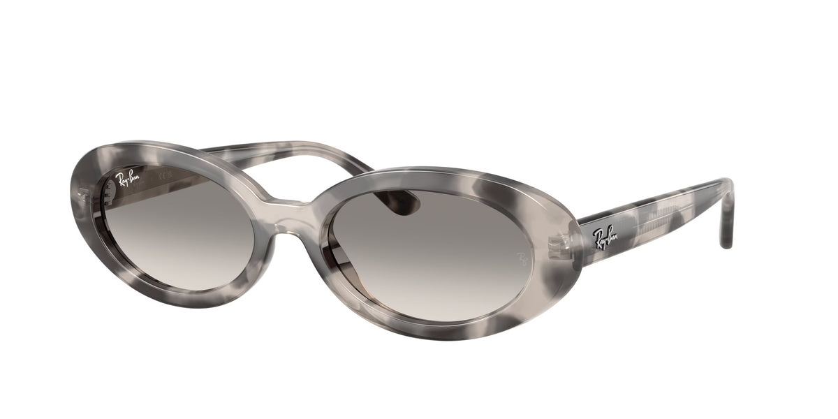 Occhiali da Sole Ray-Ban RB2223