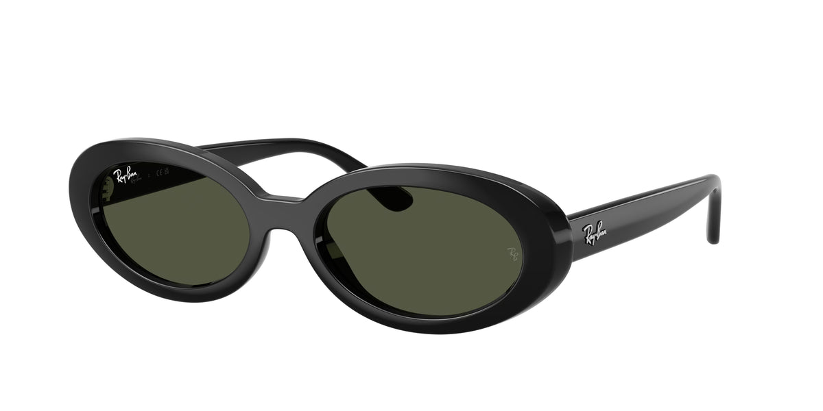 Occhiali da Sole Ray-Ban RB2223