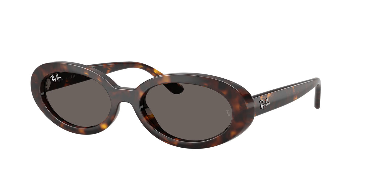 Occhiali da Sole Ray-Ban RB2223