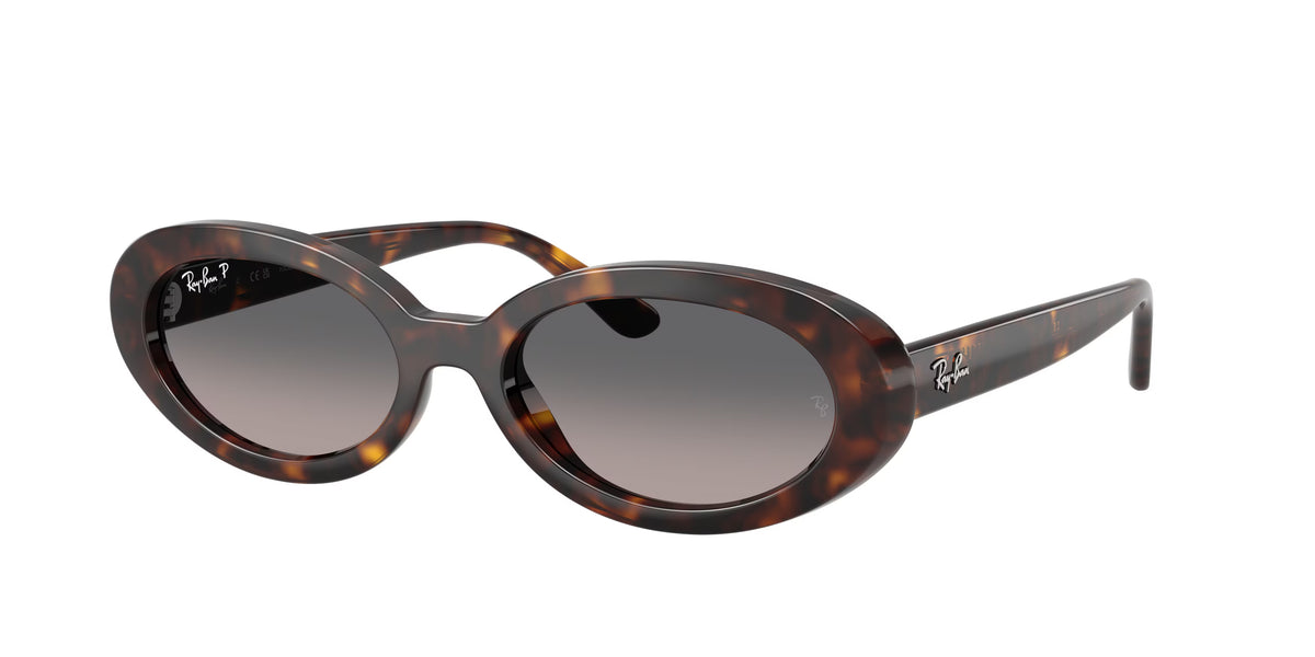 Occhiali da Sole Ray-Ban RB2223
