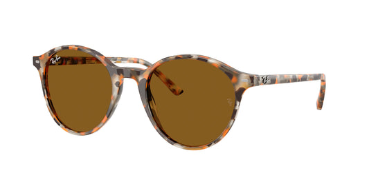 Occhiali da Sole Ray-Ban RB2230 Bernard