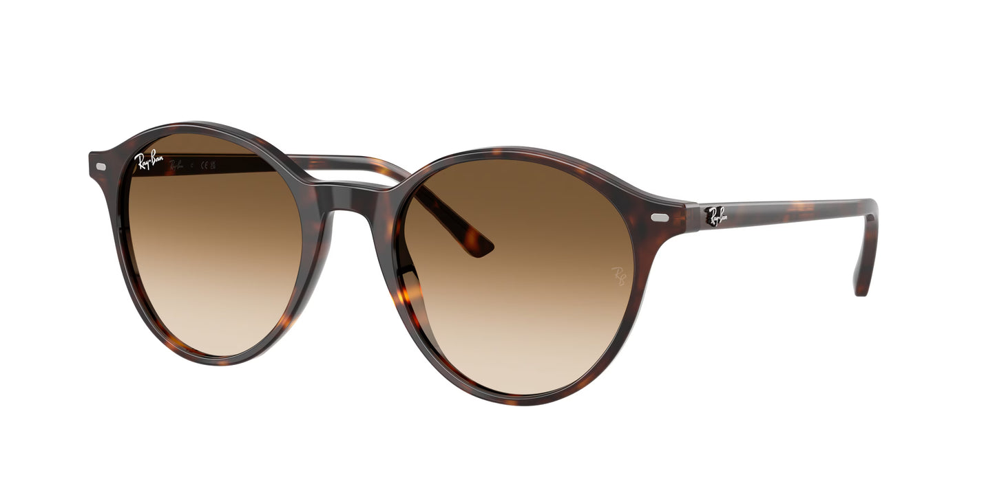 Occhiali da Sole Ray-Ban RB2230 Bernard