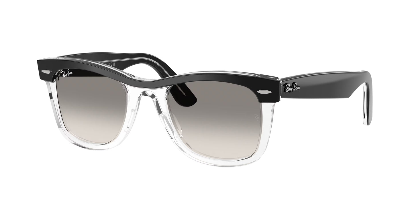 Occhiali da Sole Ray-Ban RB2240 Wayfarer Icon