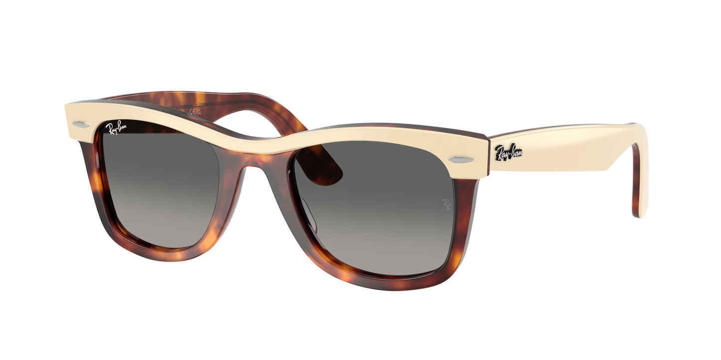 Occhiali da Sole Ray-Ban RB2240 Wayfarer Icon