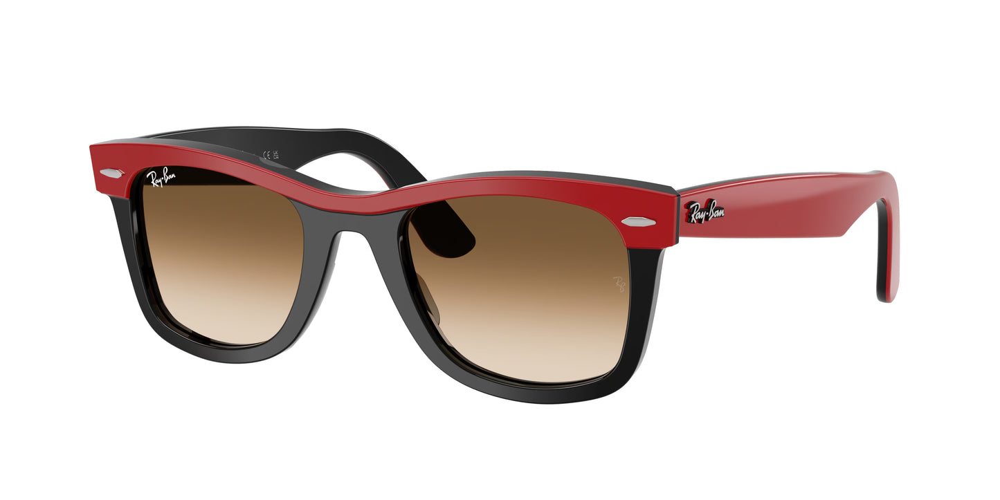 Occhiali da Sole Ray-Ban RB2240 Wayfarer Icon