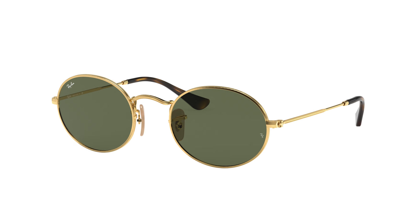 Occhiali da Sole Ray-Ban 0RB3547N | Oval