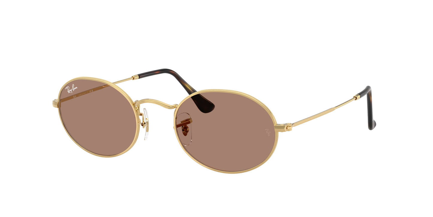 Occhiali da Sole Ray-Ban Oval 3547 – Stile Anni ’70 Unisex
