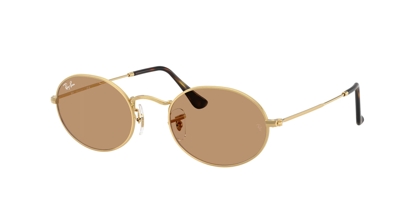 Occhiali da Sole Ray-Ban Oval 3547 – Stile Anni ’70 Unisex