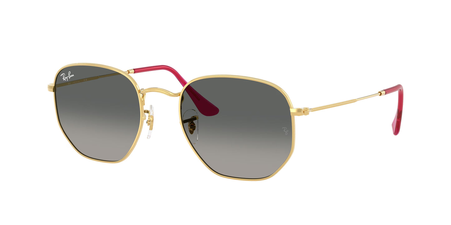 Occhiali da Sole Ray-Ban Hexagonal 3548N | esagonale in metallo sottile