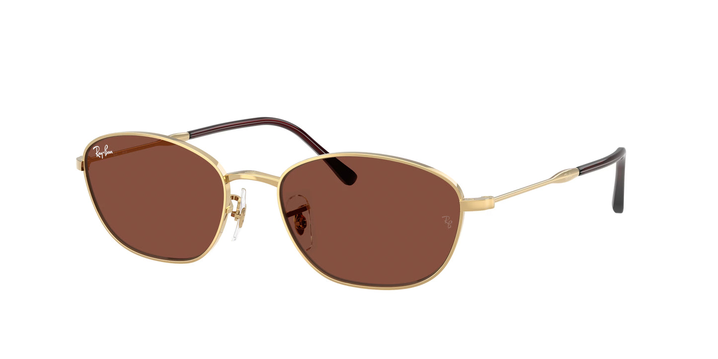 Occhiali da Sole Ray-Ban RB3749 Irregular in Metallo