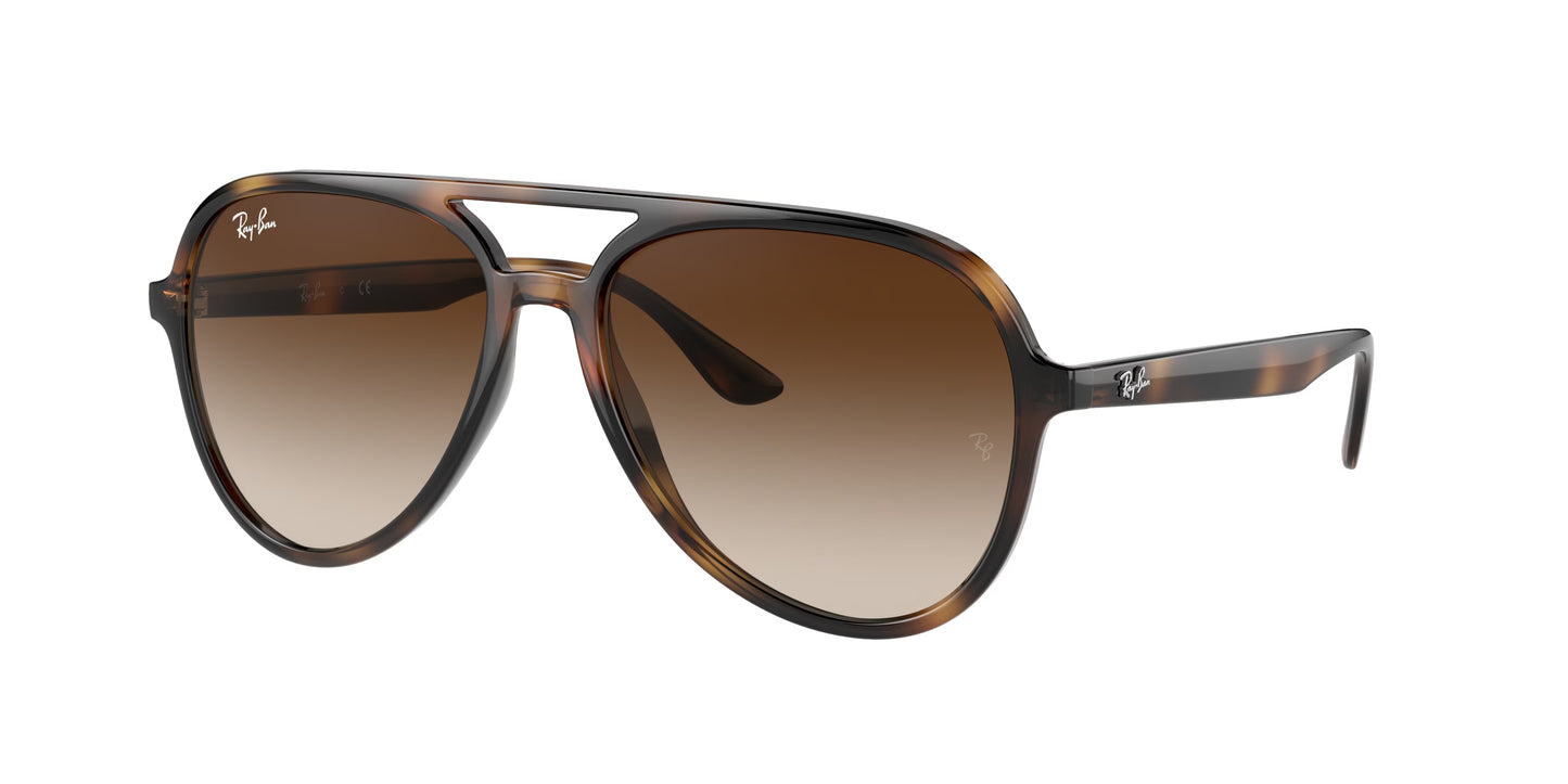 Occhiali da Sole Ray-Ban RB4376