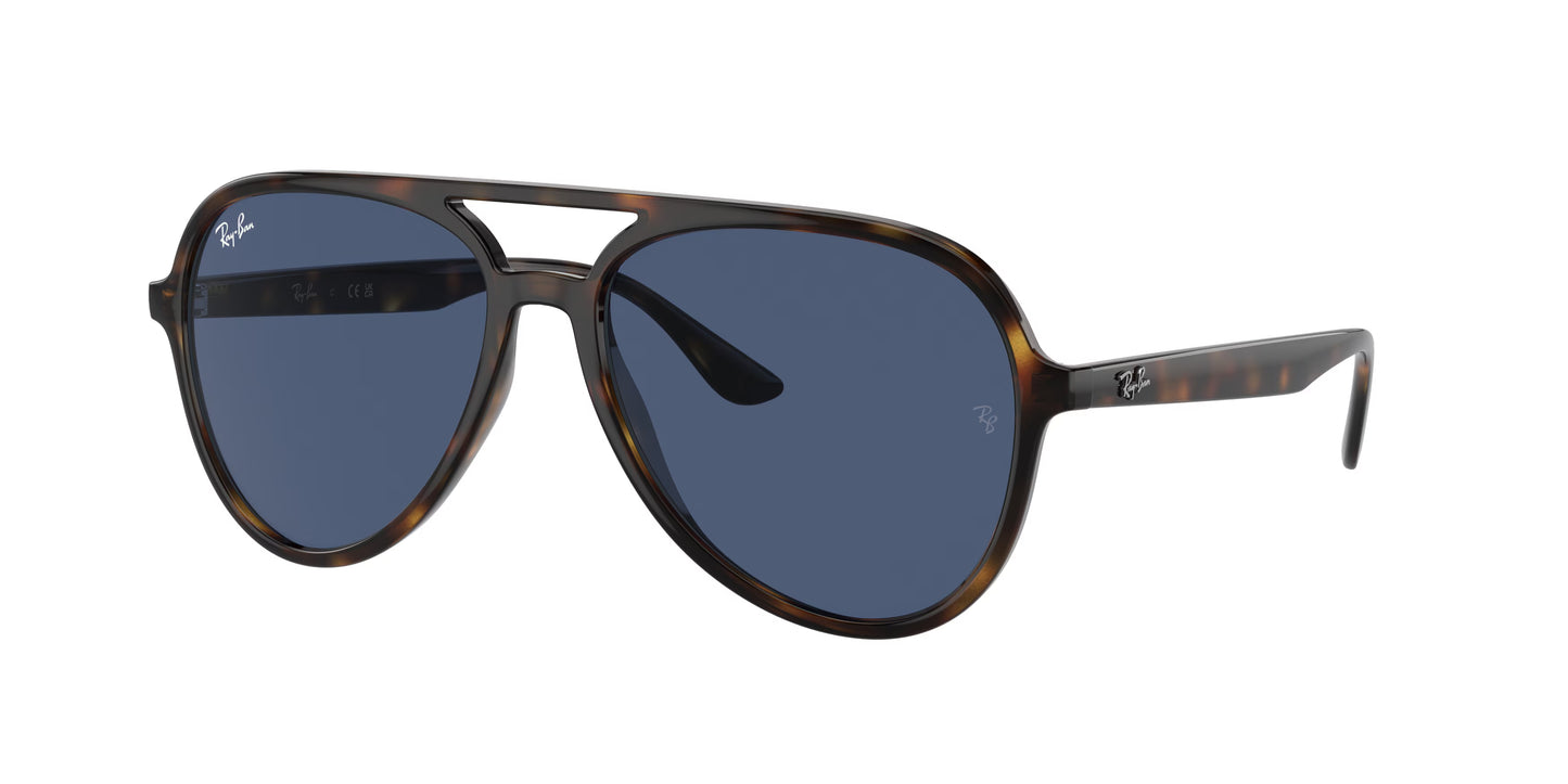 Occhiali da Sole Ray-Ban RB4376