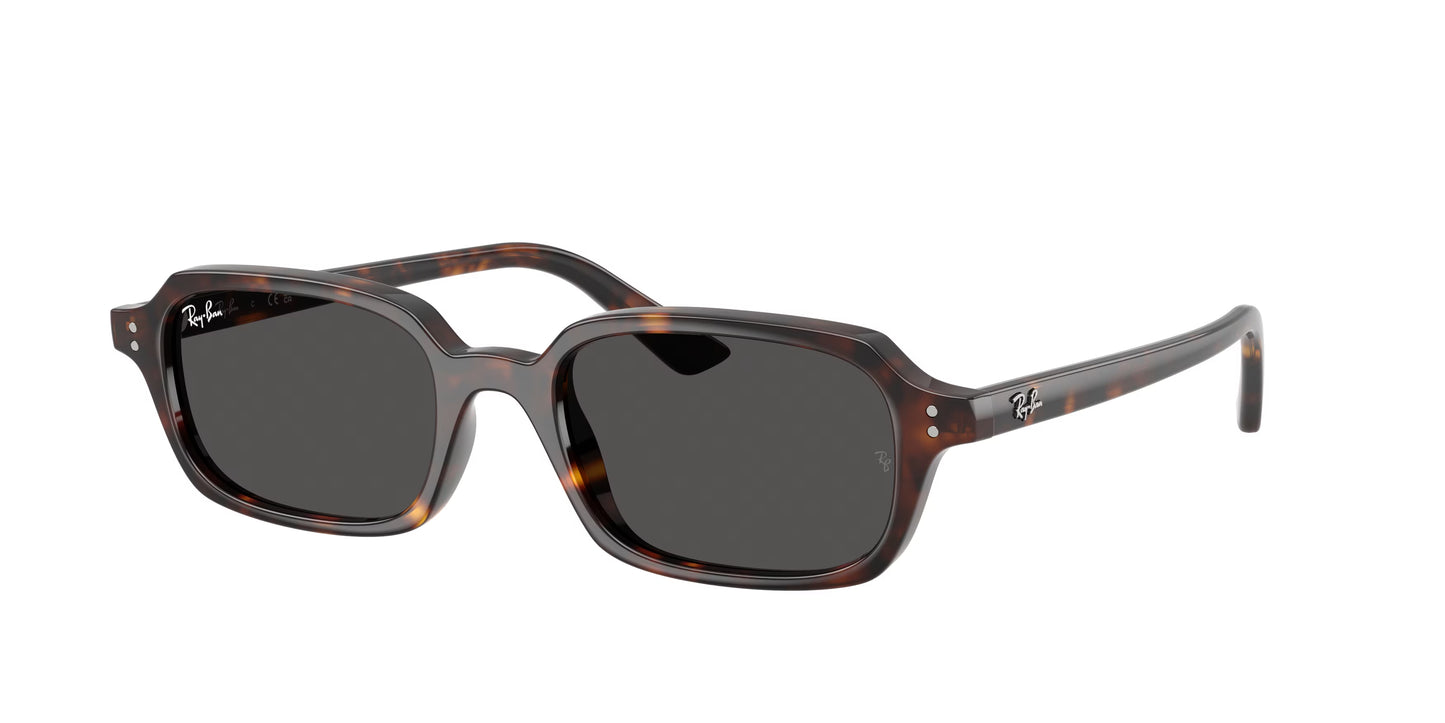 Occhiali da Sole Ray-Ban Zuri RB4455 – Bio-Based
