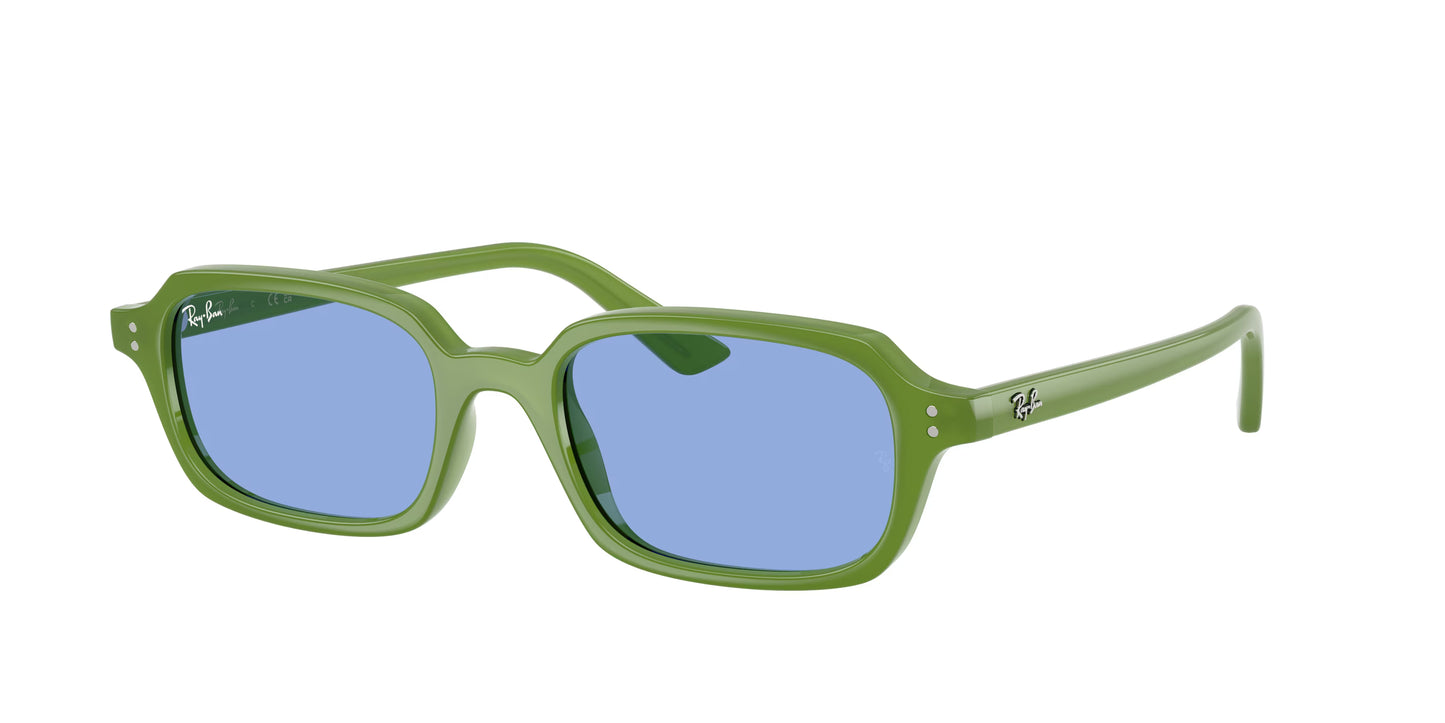Occhiali da Sole Ray-Ban Zuri RB4455 – Bio-Based