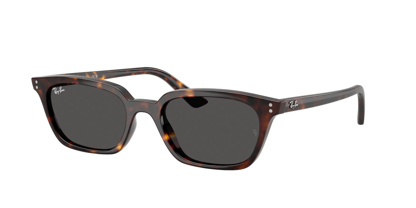 Occhiali da Sole Ray-Ban RB4456 Zaya Bio-Based