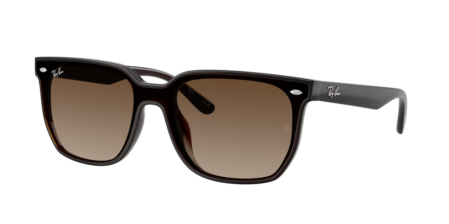 Occhiali da Sole Ray-Ban RB4466D Squadrati