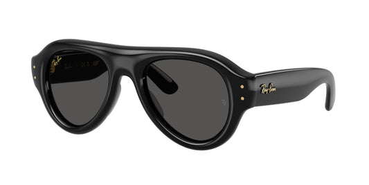 Occhiali da Sole Ray-Ban RB4925 Aviator Puffer