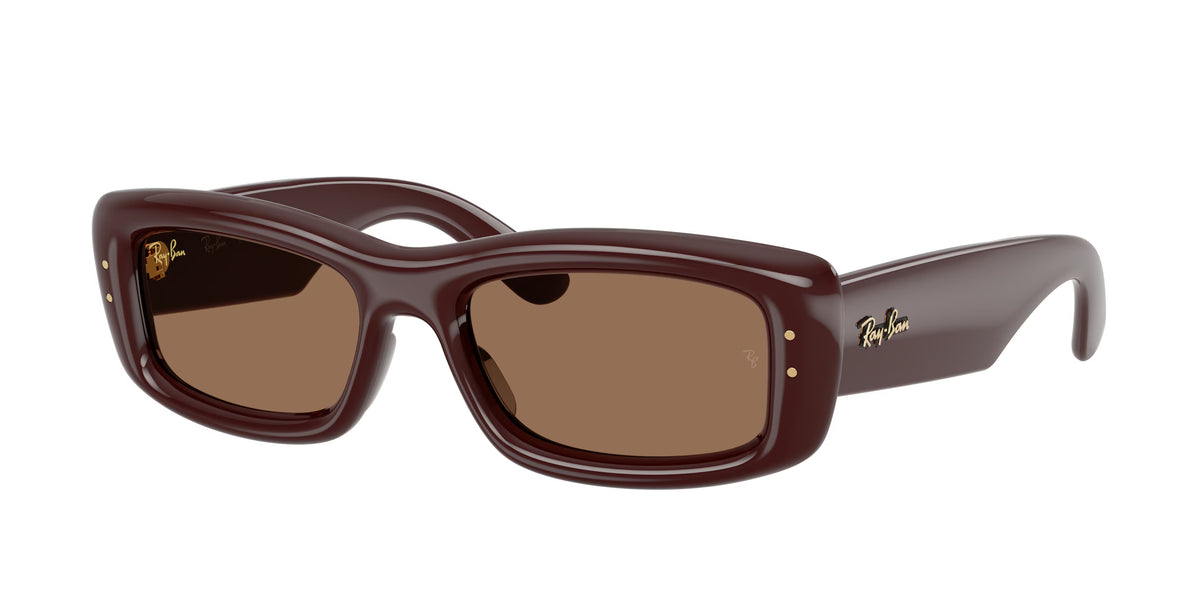 Occhiali da Sole Ray-Ban RB4944 Kiliane Puffer
