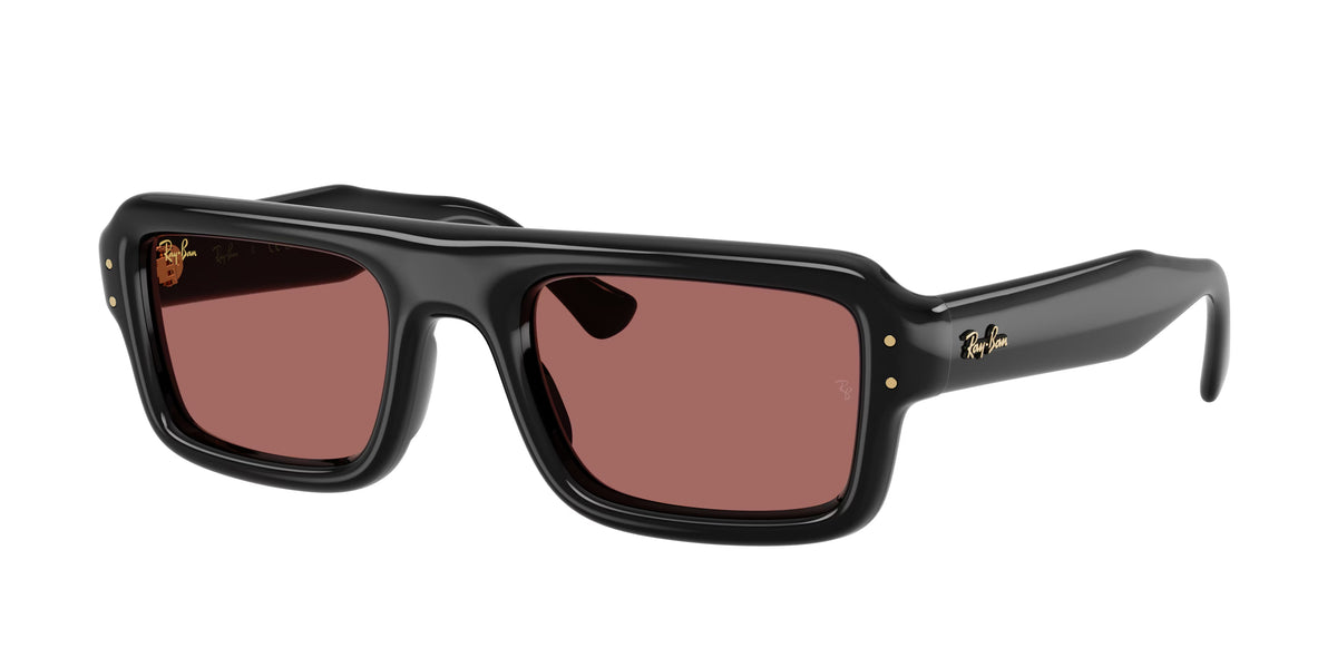 Occhiali da Sole Ray-Ban RB4954 Flacko Puffer