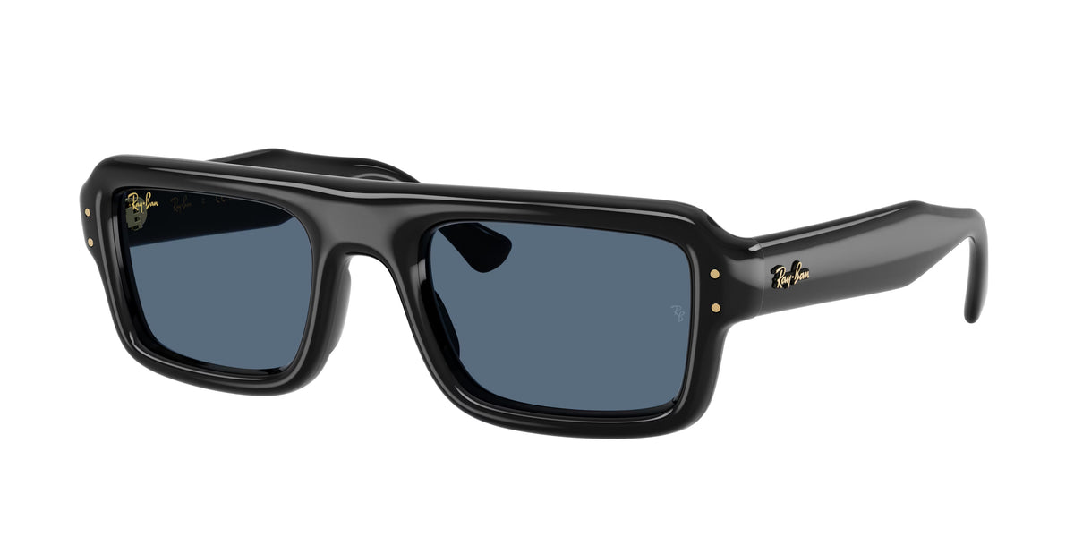 Occhiali da Sole Ray-Ban RB4954 Flacko Puffer
