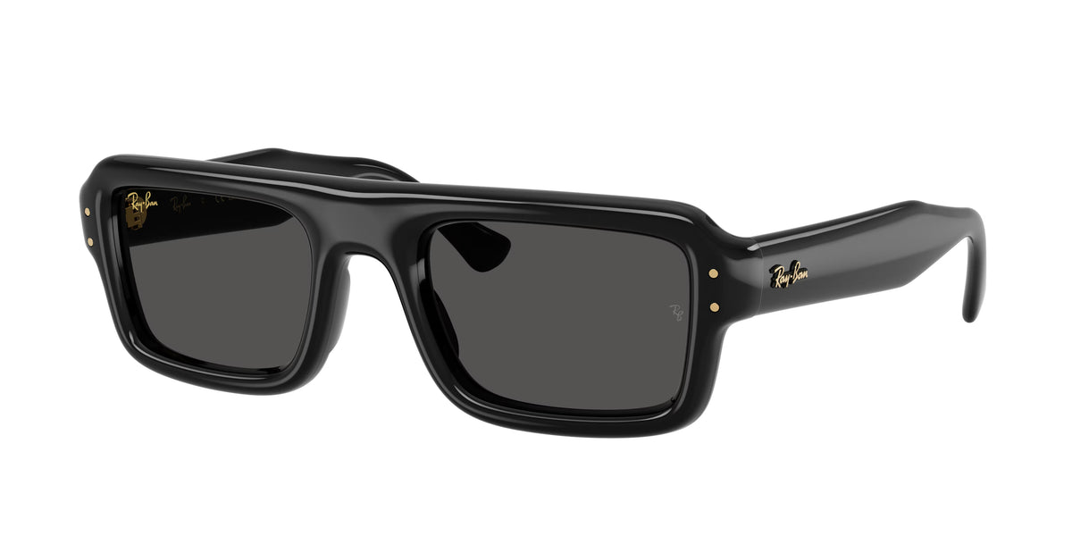 Occhiali da Sole Ray-Ban RB4954 Flacko Puffer