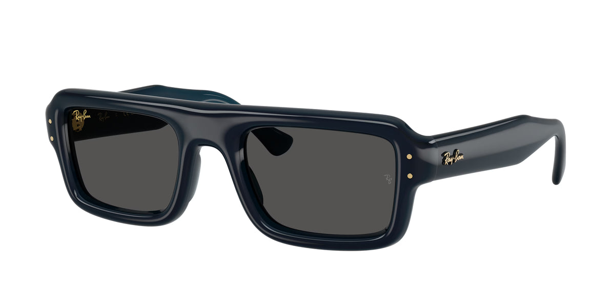 Occhiali da Sole Ray-Ban RB4954 Flacko Puffer