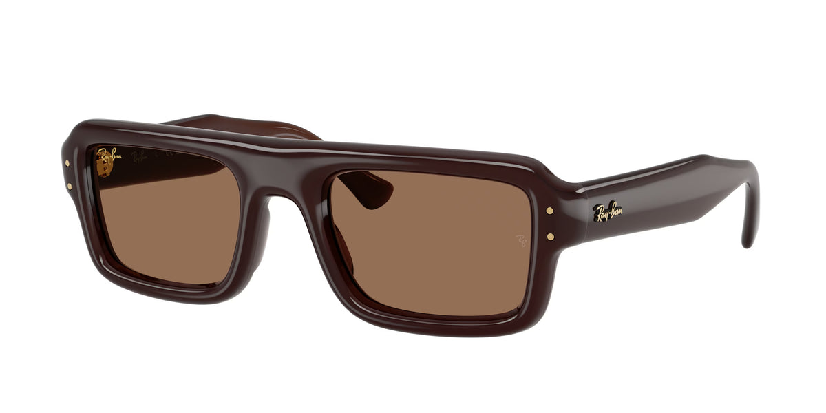 Occhiali da Sole Ray-Ban RB4954 Flacko Puffer